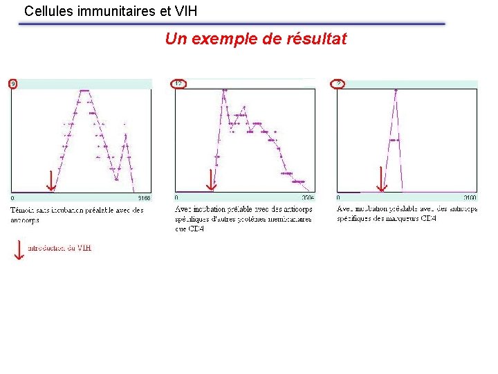 Cellules immunitaires et VIH Un exemple de résultat 
