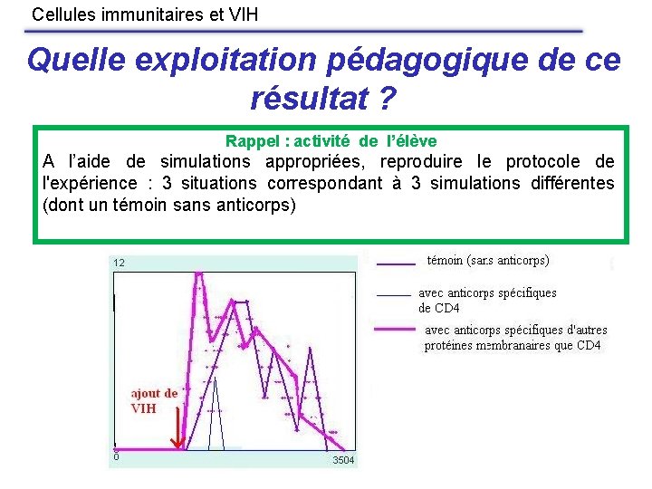 Cellules immunitaires et VIH Quelle exploitation pédagogique de ce résultat ? Rappel : activité