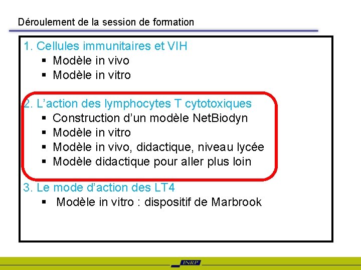 Déroulement de la session de formation 1. Cellules immunitaires et VIH § Modèle in