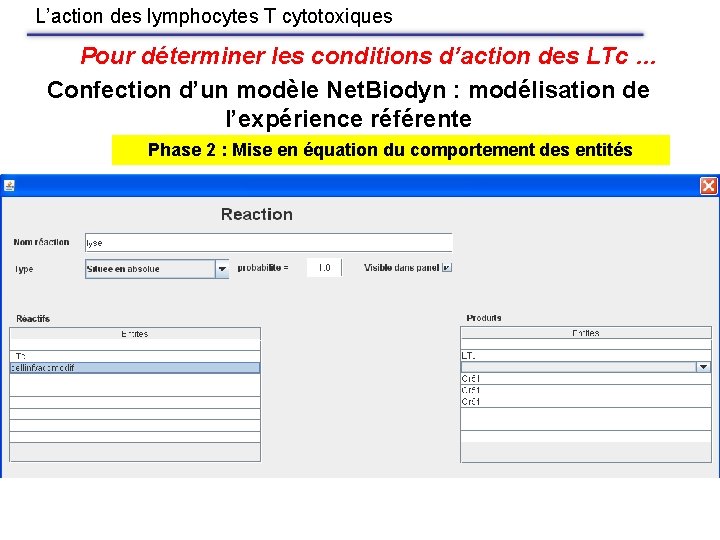 L’action des lymphocytes T cytotoxiques Pour déterminer les conditions d’action des LTc … Confection