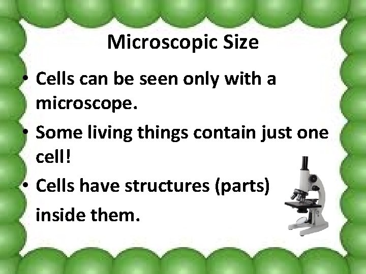 Microscopic Size • Cells can be seen only with a microscope. • Some living