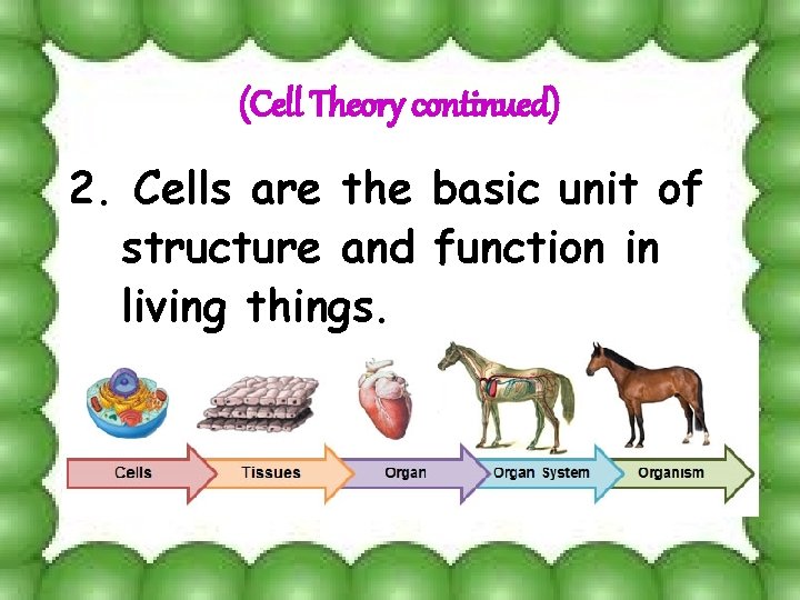 (Cell Theory continued) 2. Cells are the basic unit of structure and function in