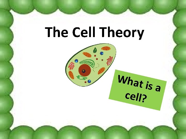 The Cell Theory What is a cell? 