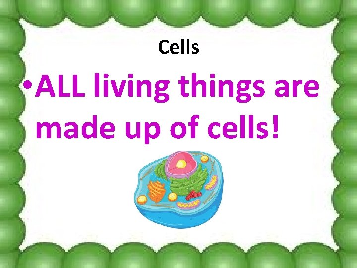 Cells • ALL living things are made up of cells! 