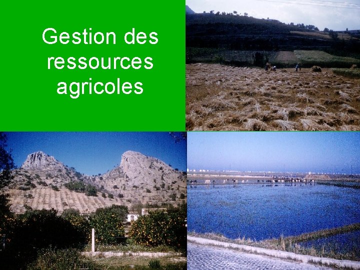 Gestion des ressources agricoles 