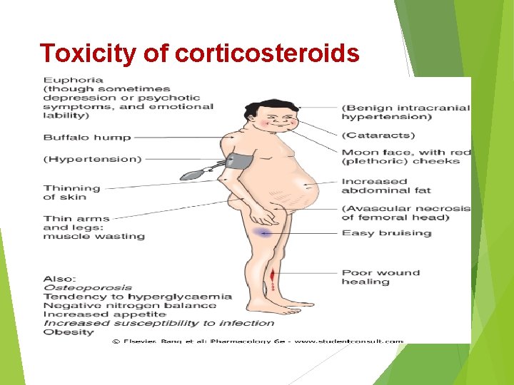Toxicity of corticosteroids 