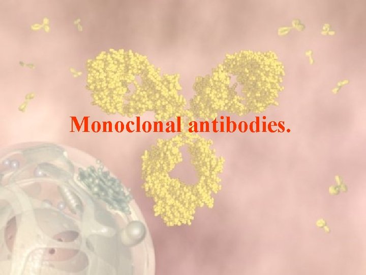 Monoclonal antibodies. 