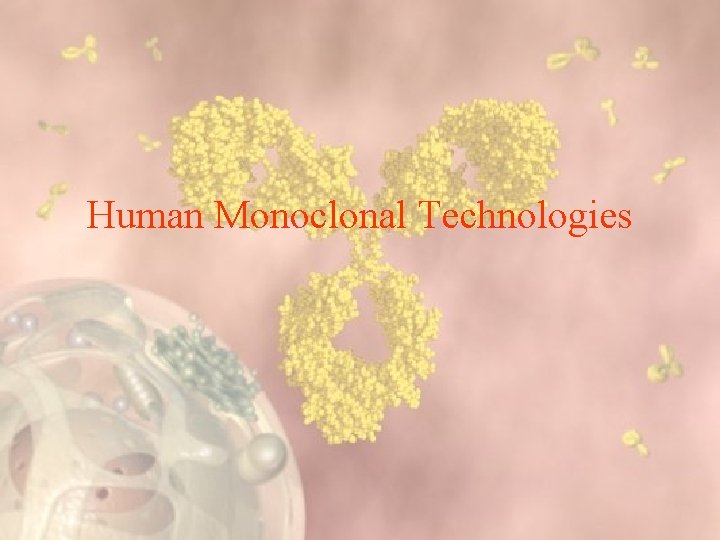 Human Monoclonal Technologies 