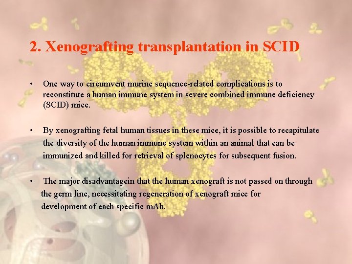 2. Xenografting transplantation in SCID • One way to circumvent murine sequence-related complications is