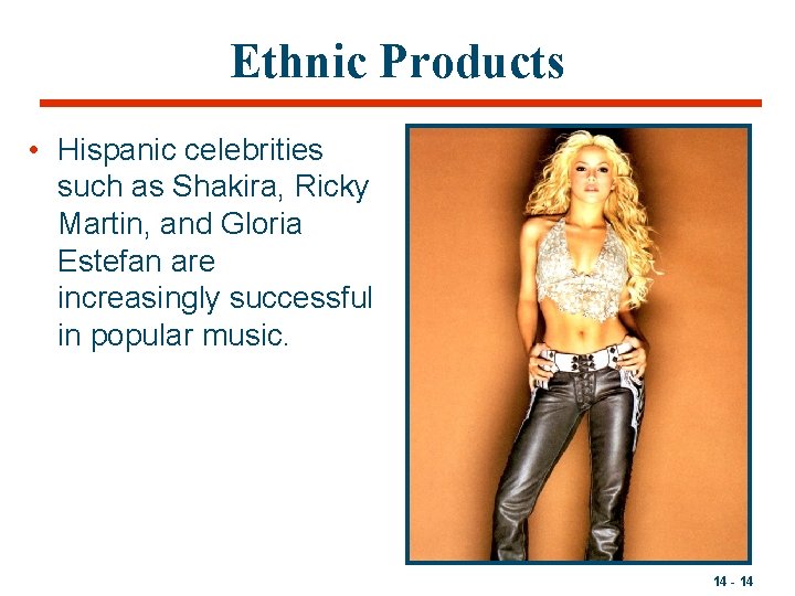 Ethnic Products • Hispanic celebrities such as Shakira, Ricky Martin, and Gloria Estefan are