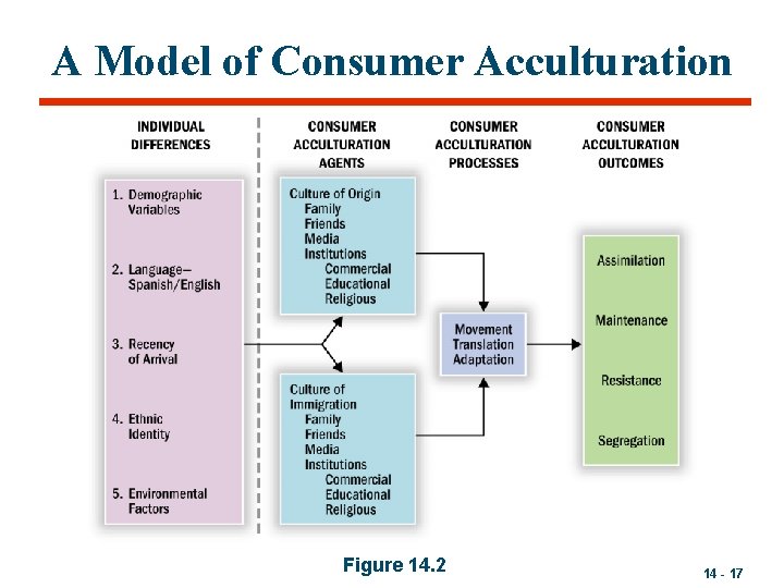 A Model of Consumer Acculturation Figure 14. 2 14 - 17 