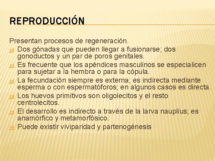 REPRODUCCIÓN Presentan procesos de regeneración. Dos gónadas que pueden llegar a fusionarse; dos gonoductos