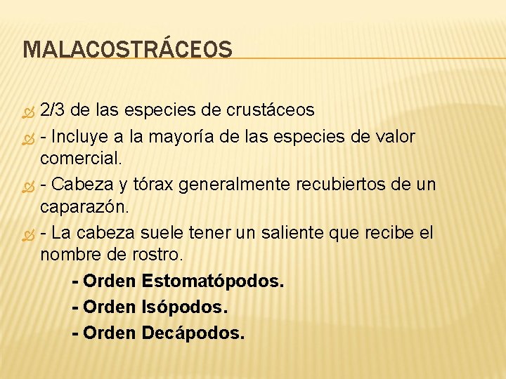 MALACOSTRÁCEOS 2/3 de las especies de crustáceos - Incluye a la mayoría de las