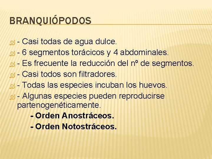 BRANQUIÓPODOS - Casi todas de agua dulce. - 6 segmentos torácicos y 4 abdominales.