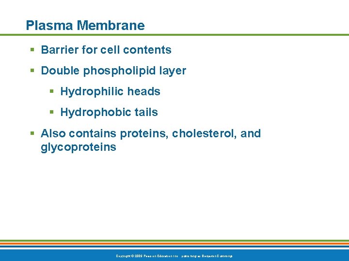 Plasma Membrane § Barrier for cell contents § Double phospholipid layer § Hydrophilic heads