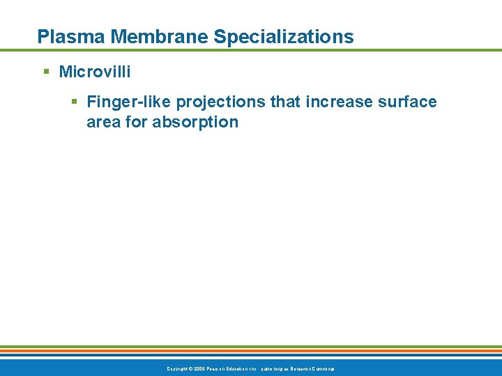 Plasma Membrane Specializations § Microvilli § Finger-like projections that increase surface area for absorption