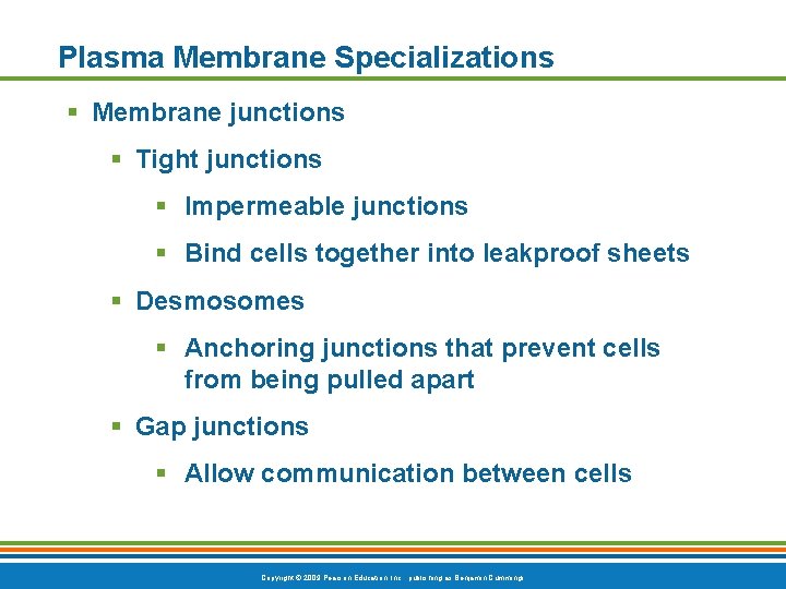Plasma Membrane Specializations § Membrane junctions § Tight junctions § Impermeable junctions § Bind