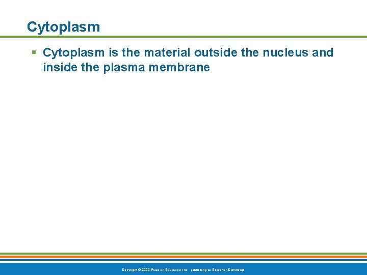 Cytoplasm § Cytoplasm is the material outside the nucleus and inside the plasma membrane