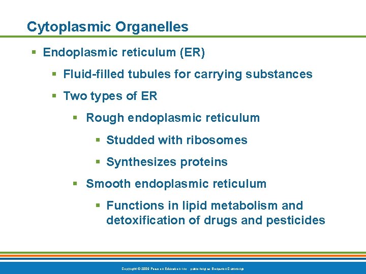 Cytoplasmic Organelles § Endoplasmic reticulum (ER) § Fluid-filled tubules for carrying substances § Two