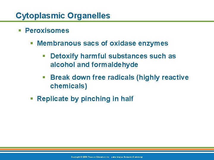 Cytoplasmic Organelles § Peroxisomes § Membranous sacs of oxidase enzymes § Detoxify harmful substances