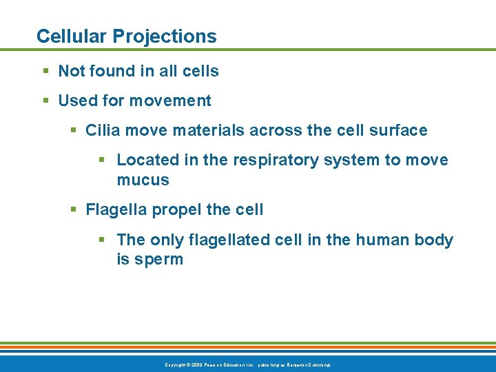 Cellular Projections § Not found in all cells § Used for movement § Cilia