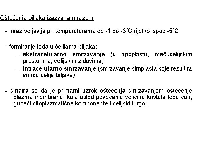 Oštećenja biljaka izazvana mrazom - mraz se javlja pri temperaturama od -1 do -3˚C,