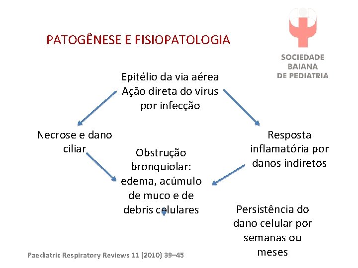 PATOGÊNESE E FISIOPATOLOGIA Epitélio da via aérea Ação direta do vírus por infecção Necrose