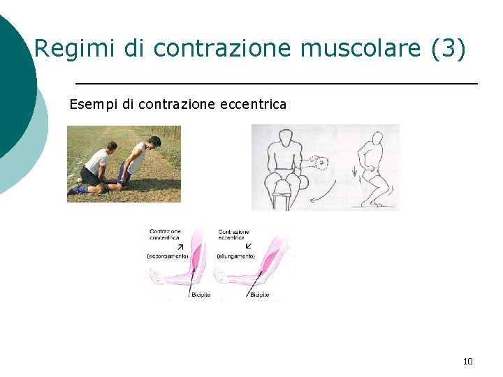 Regimi di contrazione muscolare (3) Esempi di contrazione eccentrica 10 Regimi di contrazione muscolare (3) Esempi di contrazione eccentrica 10