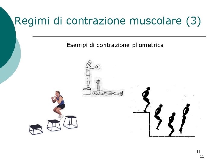 Regimi di contrazione muscolare (3) Esempi di contrazione pliometrica 11 11 Regimi di contrazione muscolare (3) Esempi di contrazione pliometrica 11 11