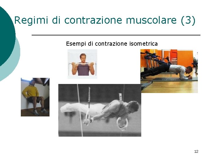 Regimi di contrazione muscolare (3) Esempi di contrazione isometrica 12 Regimi di contrazione muscolare (3) Esempi di contrazione isometrica 12
