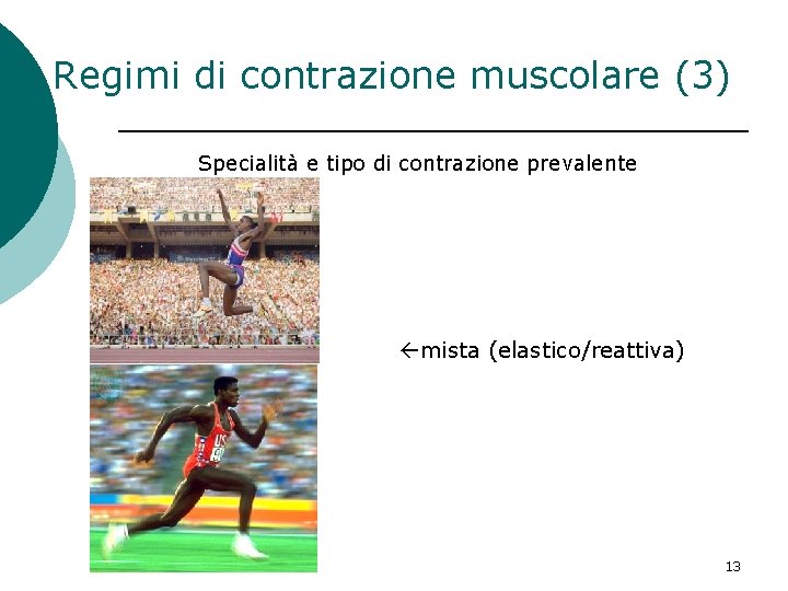 Regimi di contrazione muscolare (3) Specialità e tipo di contrazione prevalente mista (elastico/reattiva) 13 Regimi di contrazione muscolare (3) Specialità e tipo di contrazione prevalente mista (elastico/reattiva) 13