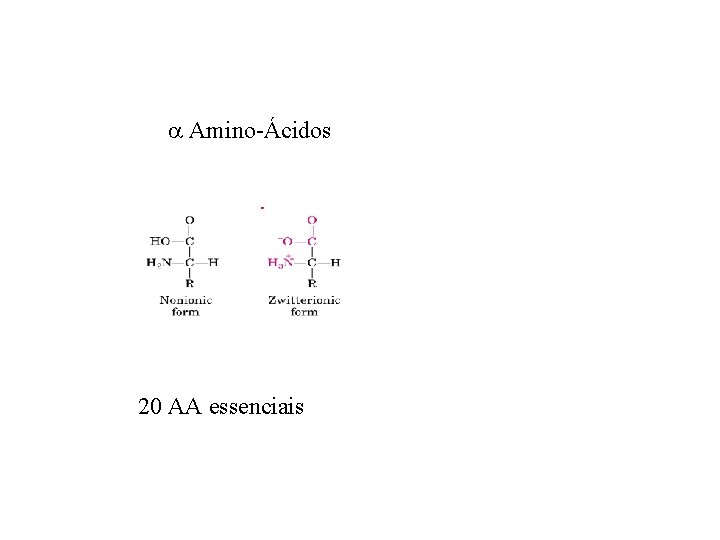  Amino-Ácidos 20 AA essenciais 