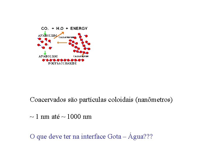 Coacervados são partículas coloidais (nanômetros) ~ 1 nm até ~ 1000 nm O que