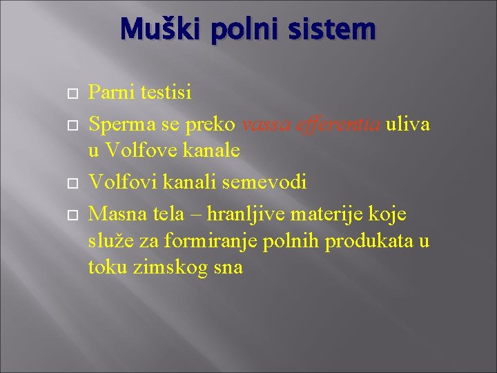 Muški polni sistem Parni testisi Sperma se preko vassa efferentia uliva u Volfove kanale