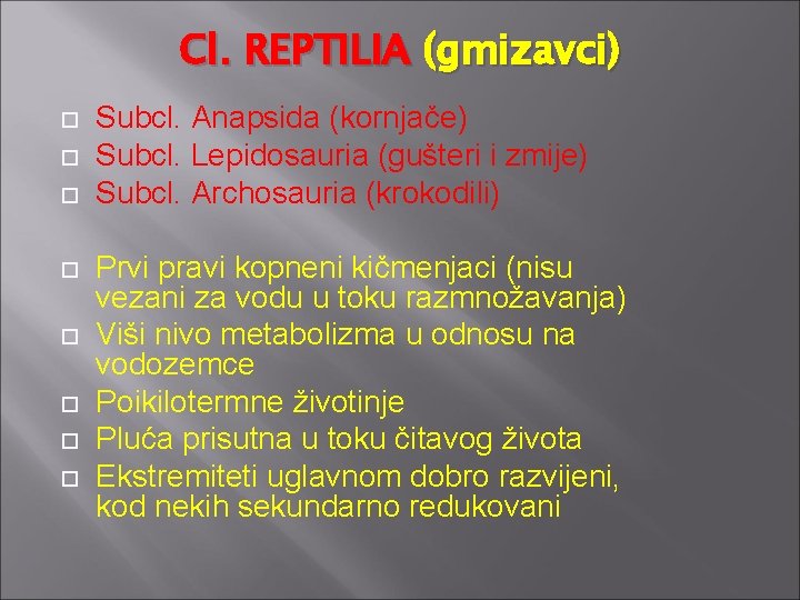 Cl. REPTILIA (gmizavci) Subcl. Anapsida (kornjače) Subcl. Lepidosauria (gušteri i zmije) Subcl. Archosauria (krokodili)