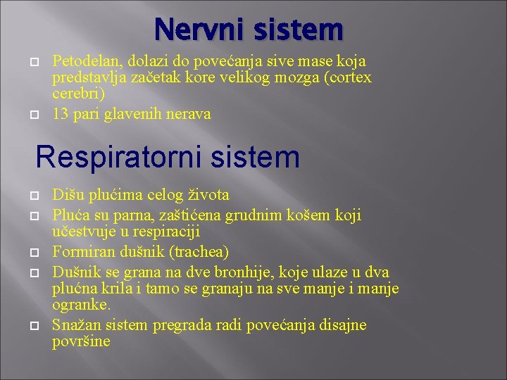 Nervni sistem Petodelan, dolazi do povećanja sive mase koja predstavlja začetak kore velikog mozga