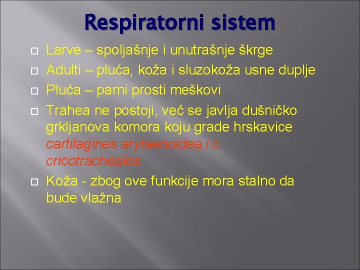 Respiratorni sistem Larve – spoljašnje i unutrašnje škrge Adulti – pluća, koža i sluzokoža