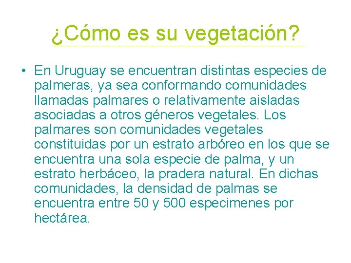 ¿Cómo es su vegetación? • En Uruguay se encuentran distintas especies de palmeras, ya