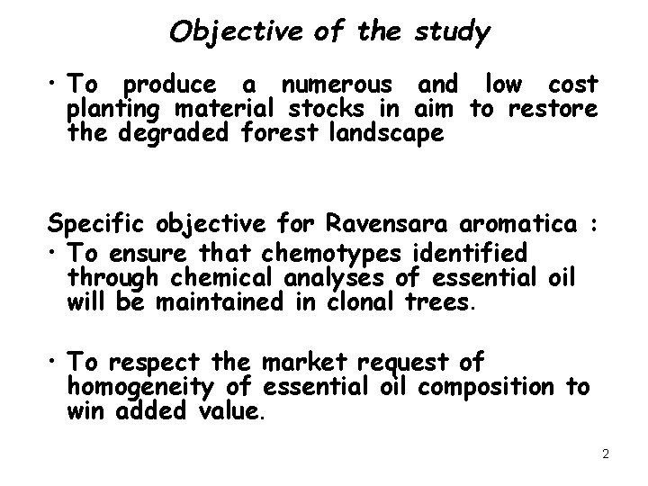 Objective of the study • To produce a numerous and low cost planting material