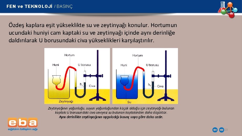 FEN ve TEKNOLOJİ / BASINÇ Özdeş kaplara eşit yükseklikte su ve zeytinyağı konulur. Hortumun