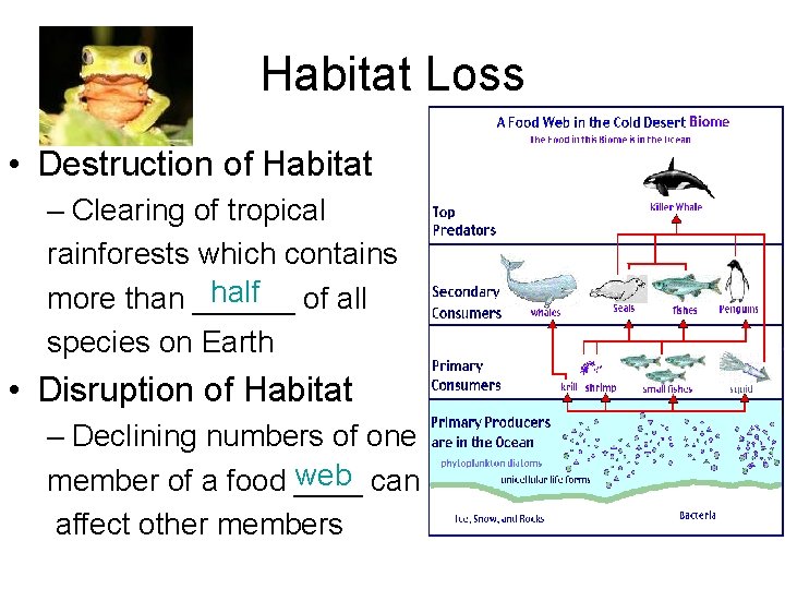 Habitat Loss • Destruction of Habitat – Clearing of tropical rainforests which contains half