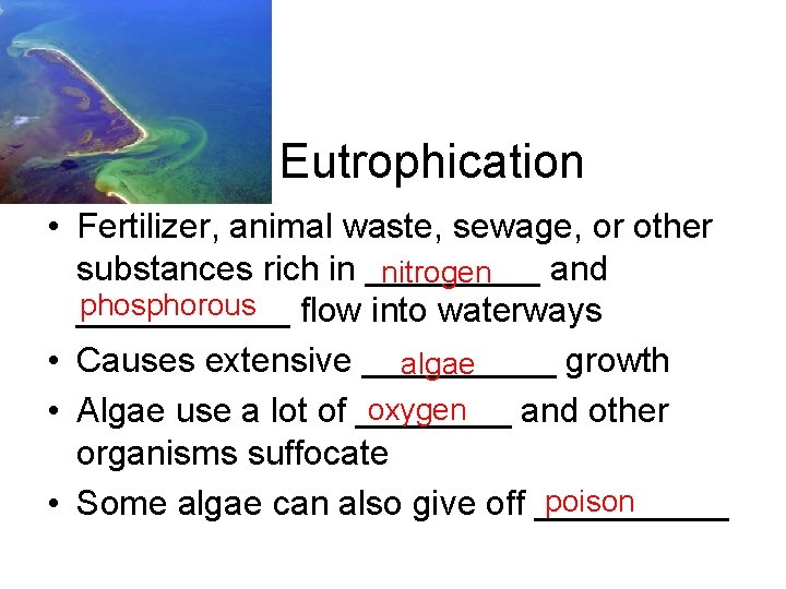Eutrophication • Fertilizer, animal waste, sewage, or other substances rich in _____ and nitrogen