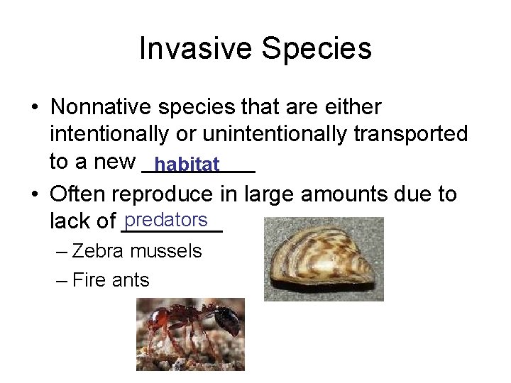 Invasive Species • Nonnative species that are either intentionally or unintentionally transported to a