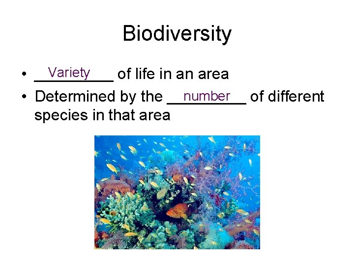 Biodiversity Variety • _____ of life in an area number of different • Determined