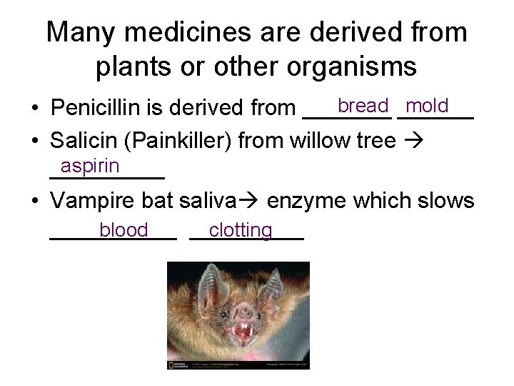 Many medicines are derived from plants or other organisms bread ______ mold • Penicillin
