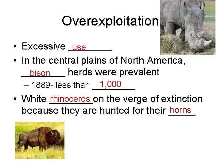 Overexploitation • Excessive ____ use • In the central plains of North America, ____