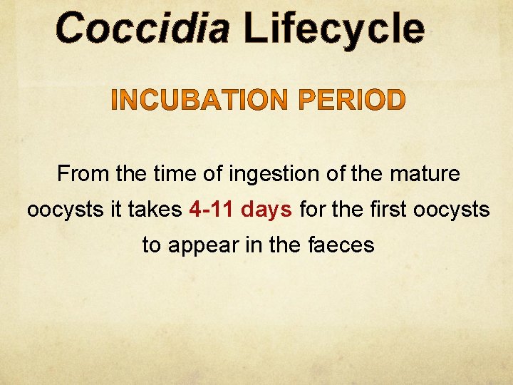 Coccidia Lifecycle From the time of ingestion of the mature oocysts it takes 4