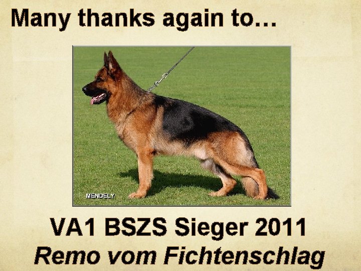 Many thanks again to… VA 1 BSZS Sieger 2011 Remo vom Fichtenschlag 