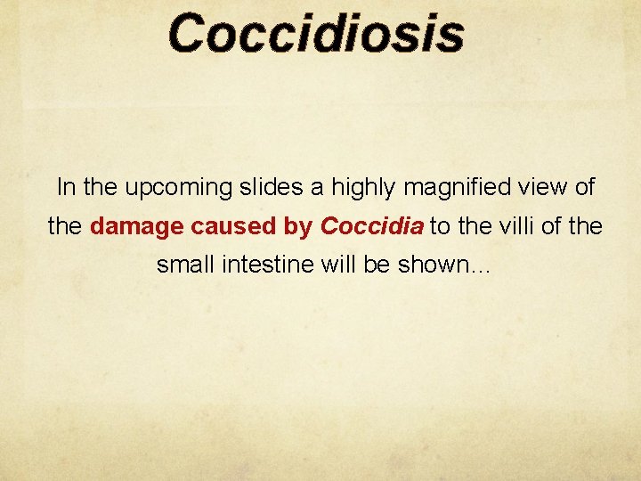 Coccidiosis In the upcoming slides a highly magnified view of the damage caused by