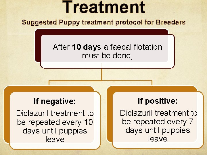 Treatment Suggested Puppy treatment protocol for Breeders After 10 days a faecal flotation must